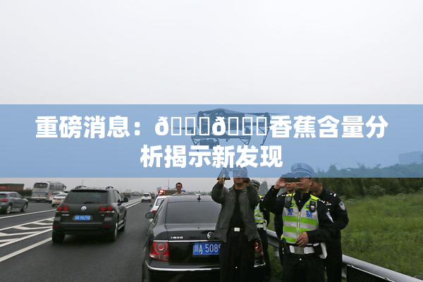重磅消息：🔞🔞香蕉含量分析揭示新发现