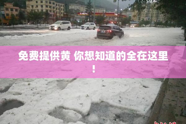 免费提供黄 你想知道的全在这里!