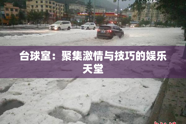 台球室：聚集激情与技巧的娱乐天堂