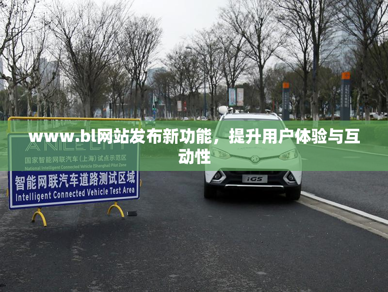 www.bl网站发布新功能，提升用户体验与互动性