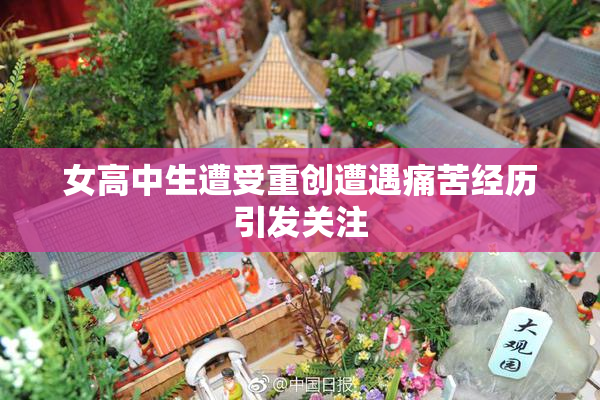 女高中生遭受重创遭遇痛苦经历引发关注