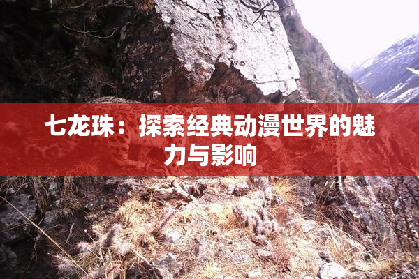 七龙珠：探索经典动漫世界的魅力与影响