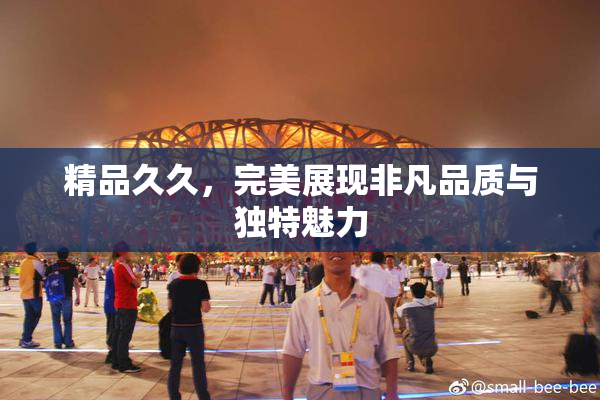 精品久久，完美展现非凡品质与独特魅力
