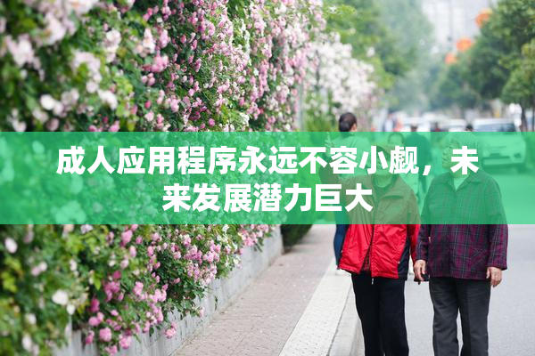 成人应用程序永远不容小觑，未来发展潜力巨大