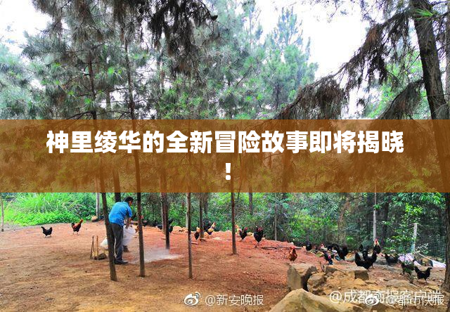 神里绫华的全新冒险故事即将揭晓！