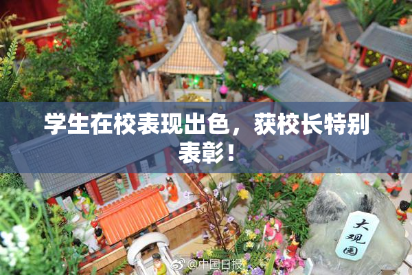 学生在校表现出色，获校长特别表彰！