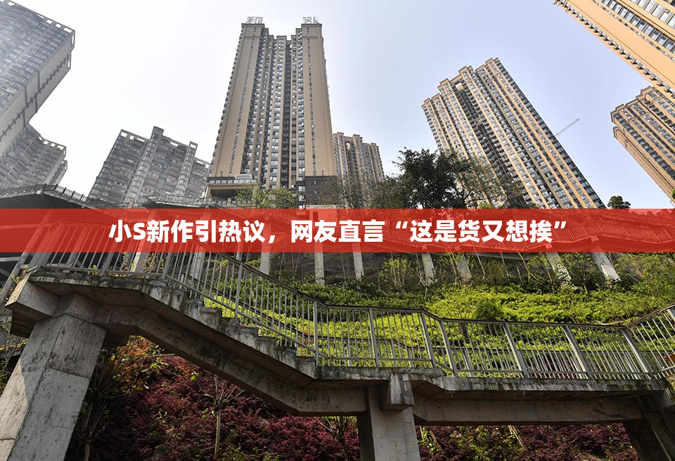 小S新作引热议，网友直言“这是货又想挨”