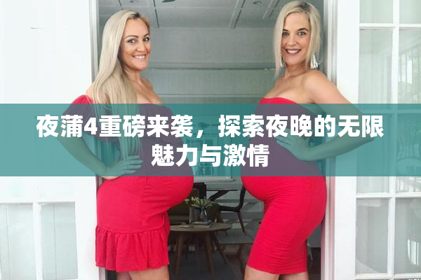 夜蒲4重磅来袭，探索夜晚的无限魅力与激情