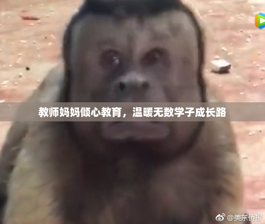 教师妈妈倾心教育，温暖无数学子成长路