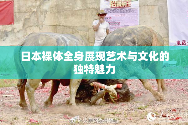 日本裸体全身展现艺术与文化的独特魅力