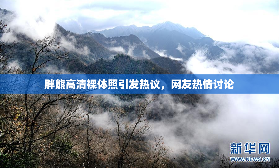 胖熊高清裸体照引发热议，网友热情讨论