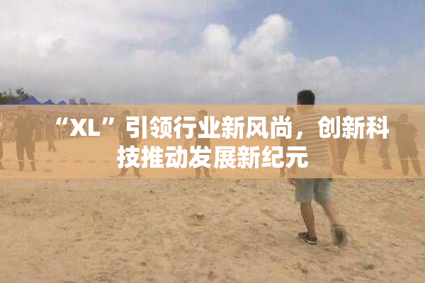 “XL”引领行业新风尚，创新科技推动发展新纪元