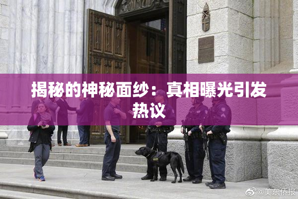 揭秘的神秘面纱：真相曝光引发热议