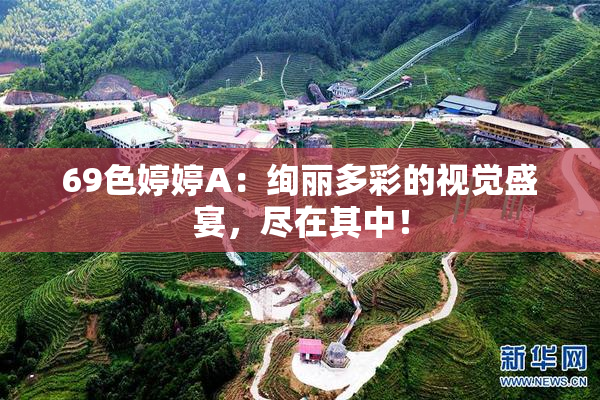 69色婷婷A：绚丽多彩的视觉盛宴，尽在其中！