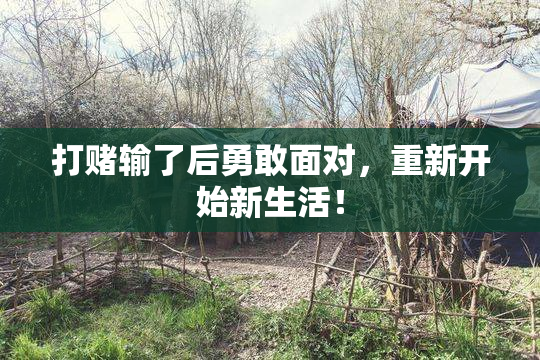 打赌输了后勇敢面对，重新开始新生活！