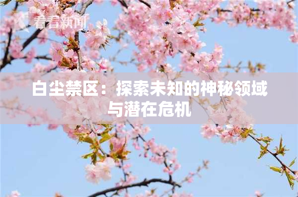 白尘禁区：探索未知的神秘领域与潜在危机