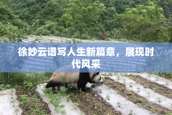 徐妙云谱写人生新篇章，展现时代风采