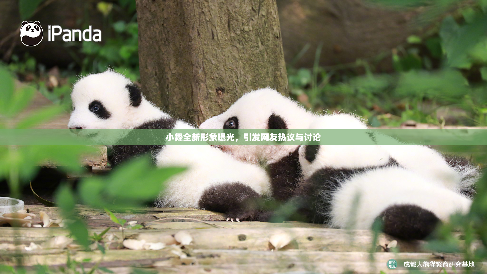 小舞全新形象曝光，引发网友热议与讨论