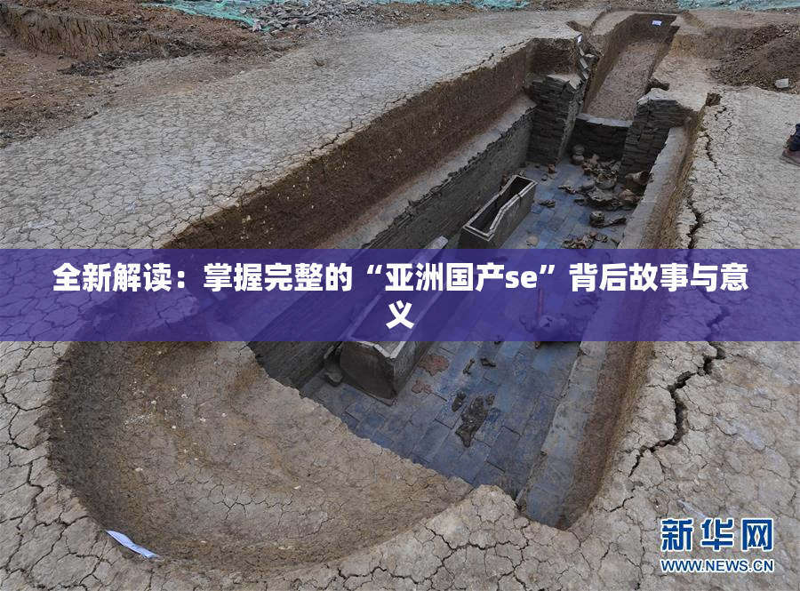 全新解读：掌握完整的“亚洲国产se”背后故事与意义