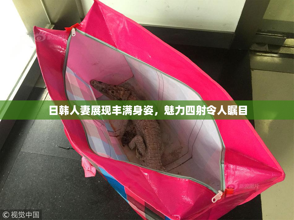 日韩人妻展现丰满身姿，魅力四射令人瞩目