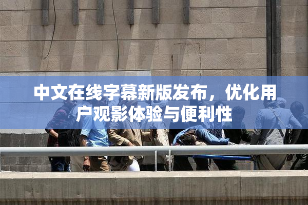 中文在线字幕新版发布，优化用户观影体验与便利性