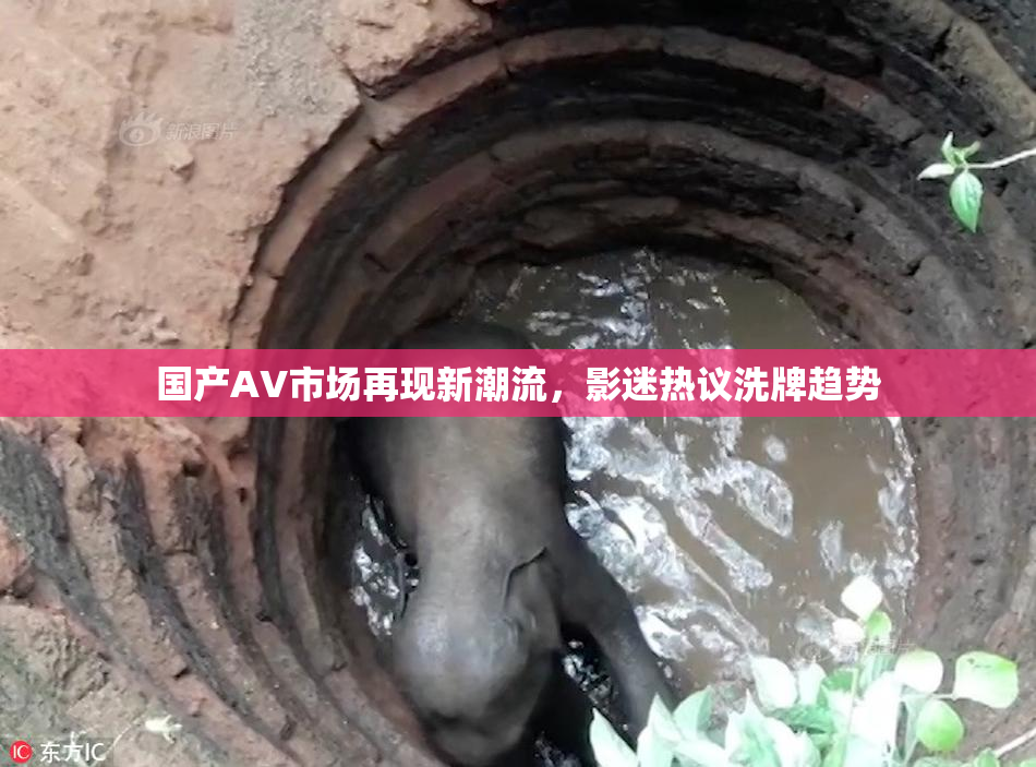 国产AV市场再现新潮流，影迷热议洗牌趋势
