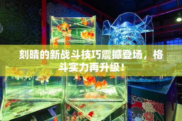 刻晴的新战斗技巧震撼登场，格斗实力再升级！