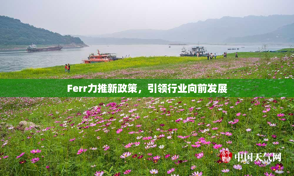 Ferr力推新政策，引领行业向前发展