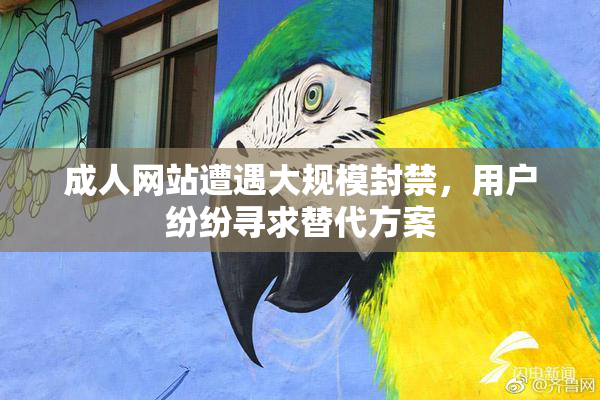成人网站遭遇大规模封禁，用户纷纷寻求替代方案