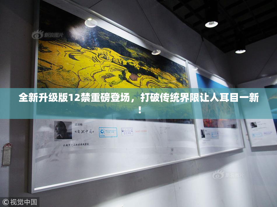 全新升级版12禁重磅登场，打破传统界限让人耳目一新！