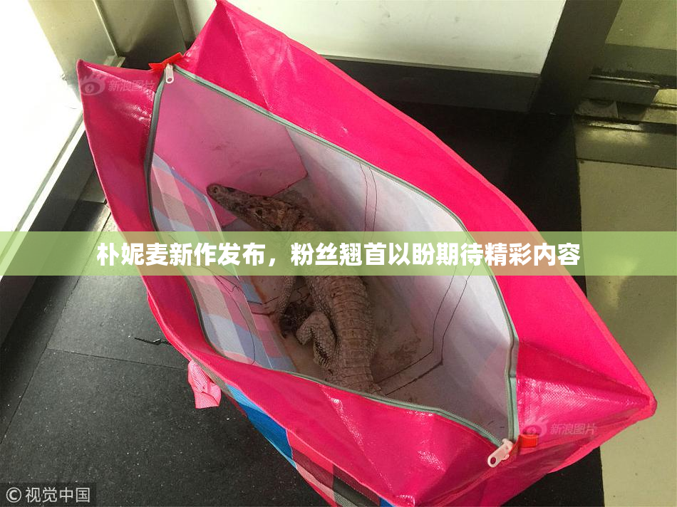 朴妮麦新作发布，粉丝翘首以盼期待精彩内容