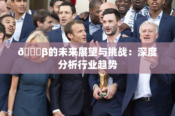 🔞β的未来展望与挑战：深度分析行业趋势