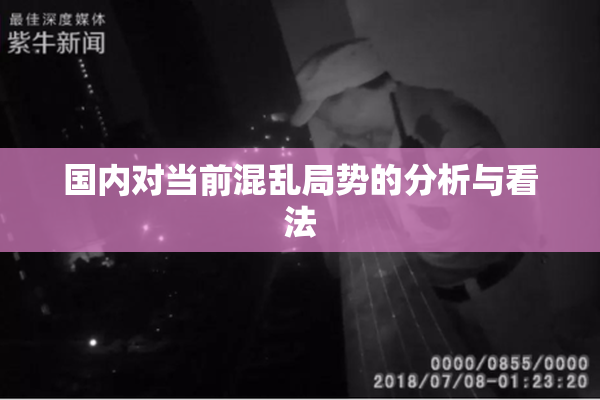 国内对当前混乱局势的分析与看法