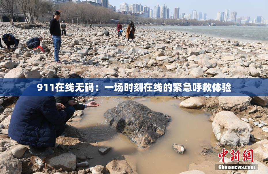 911在线无码：一场时刻在线的紧急呼救体验