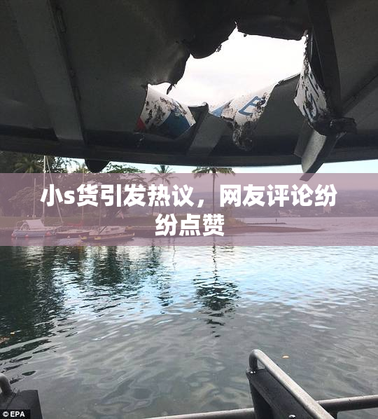 小s货引发热议，网友评论纷纷点赞
