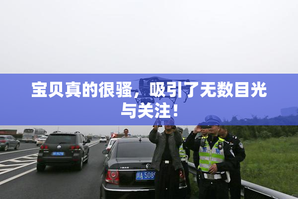 宝贝真的很骚，吸引了无数目光与关注！