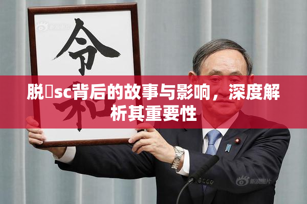 脱糞sc背后的故事与影响，深度解析其重要性