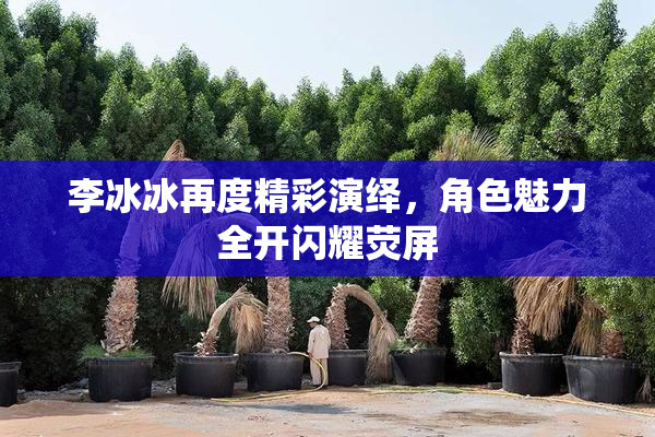 李冰冰再度精彩演绎，角色魅力全开闪耀荧屏