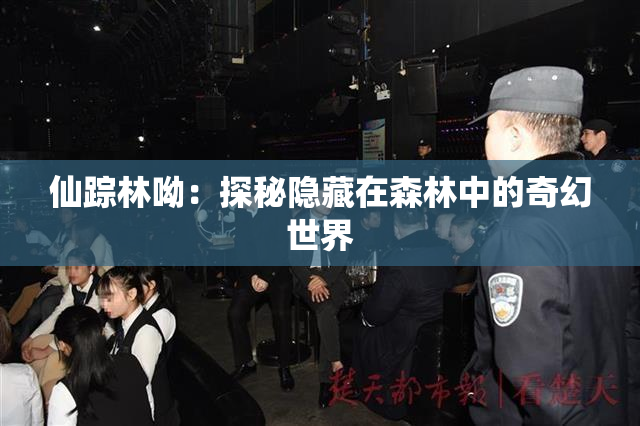 仙踪林呦：探秘隐藏在森林中的奇幻世界