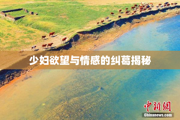 少妇欲望与情感的纠葛揭秘