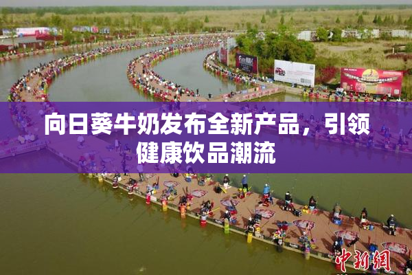 向日葵牛奶发布全新产品，引领健康饮品潮流