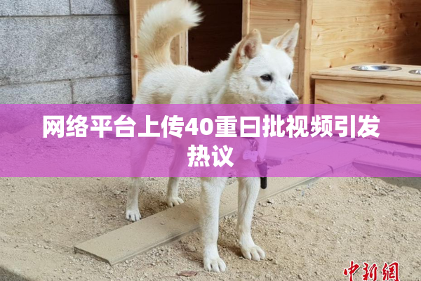 网络平台上传40重曰批视频引发热议