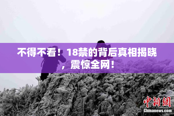 不得不看！18禁的背后真相揭晓，震惊全网！