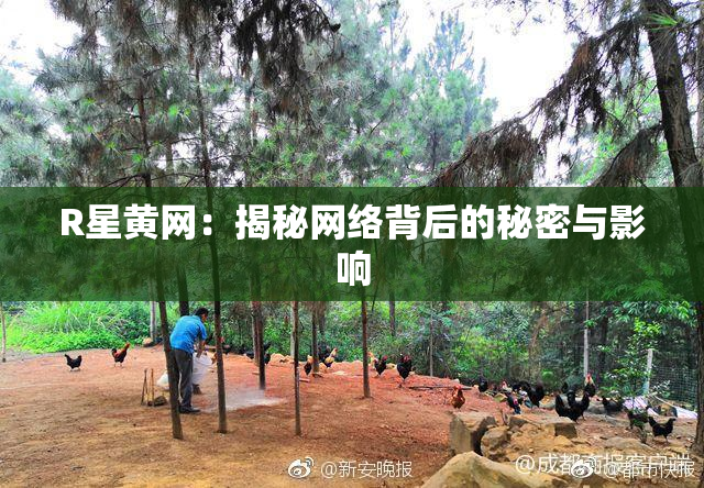 R星黄网：揭秘网络背后的秘密与影响