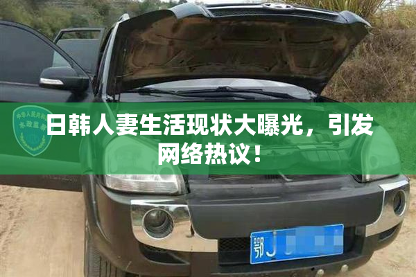 日韩人妻生活现状大曝光，引发网络热议！