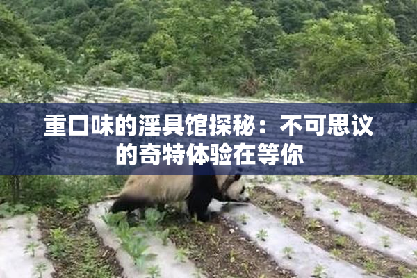 重口味的淫具馆探秘：不可思议的奇特体验在等你