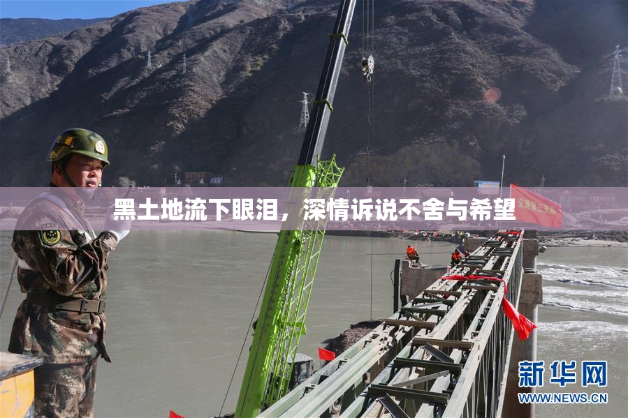 黑土地流下眼泪，深情诉说不舍与希望