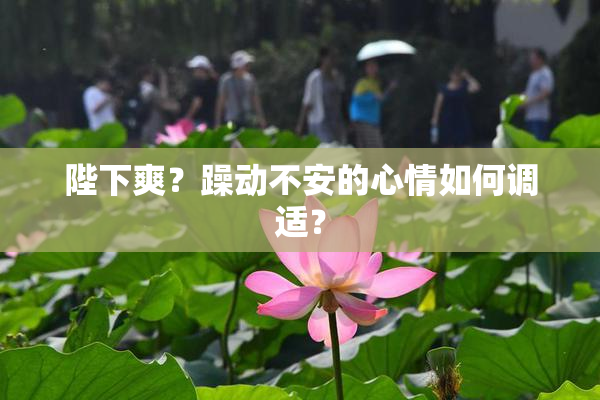 陛下爽？躁动不安的心情如何调适？