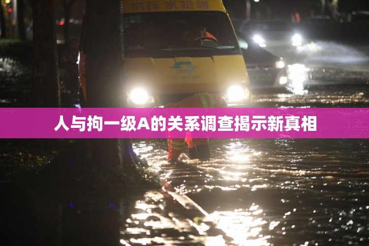 人与拘一级A的关系调查揭示新真相