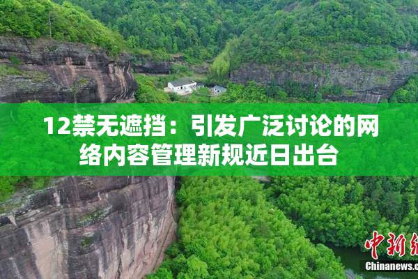 12禁无遮挡：引发广泛讨论的网络内容管理新规近日出台